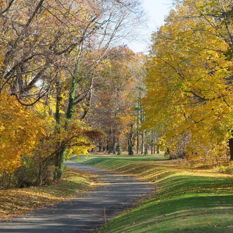 Home | Nassau County Poet Laureate Society